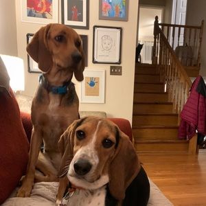 Meet your Posher, Miguel